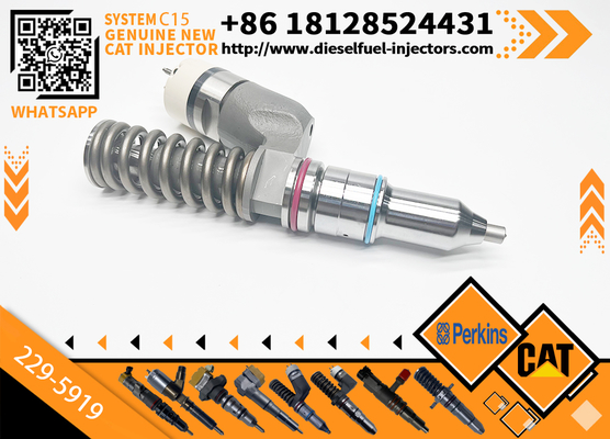 Excavator Injector 10R1000 10R-1000 2295919 229-5919 For C15 Engine Parts Diesel Nozzle Assembly