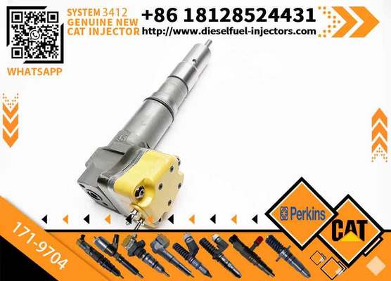 For CAT Excavator 3412E 171-9704 Common Rail diesel Fuel Injector 171-9704