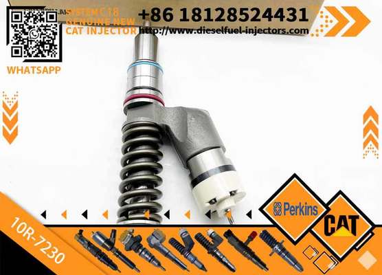 Injector 291-5911 10R-7230 317-5278 248-1394 253-0618 294-7615 for CAT Diesel Engine C15/C18
