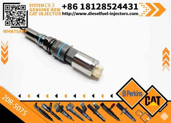 Excavator Parts CAT E 336E C9.3 Engine Injector 20R-5075 456-3493 456-3509 20R5075 4563493 4563509
