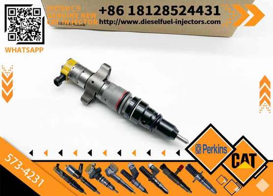 High Quality CAT Diesel Common Rail Injector 217-2570 573-4231 557-7634 293-4074 for Engine Engine